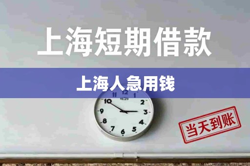 上海人急用钱