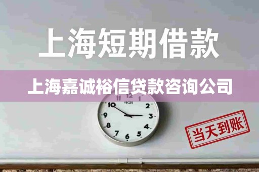 上海嘉诚裕信贷款咨询公司 上海嘉诚裕信贷款咨询公司