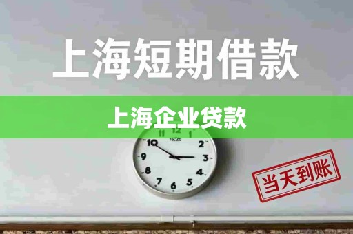 上海企业贷款 上海企业贷款